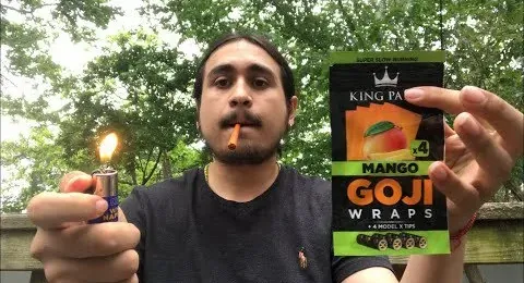 King Palm 9