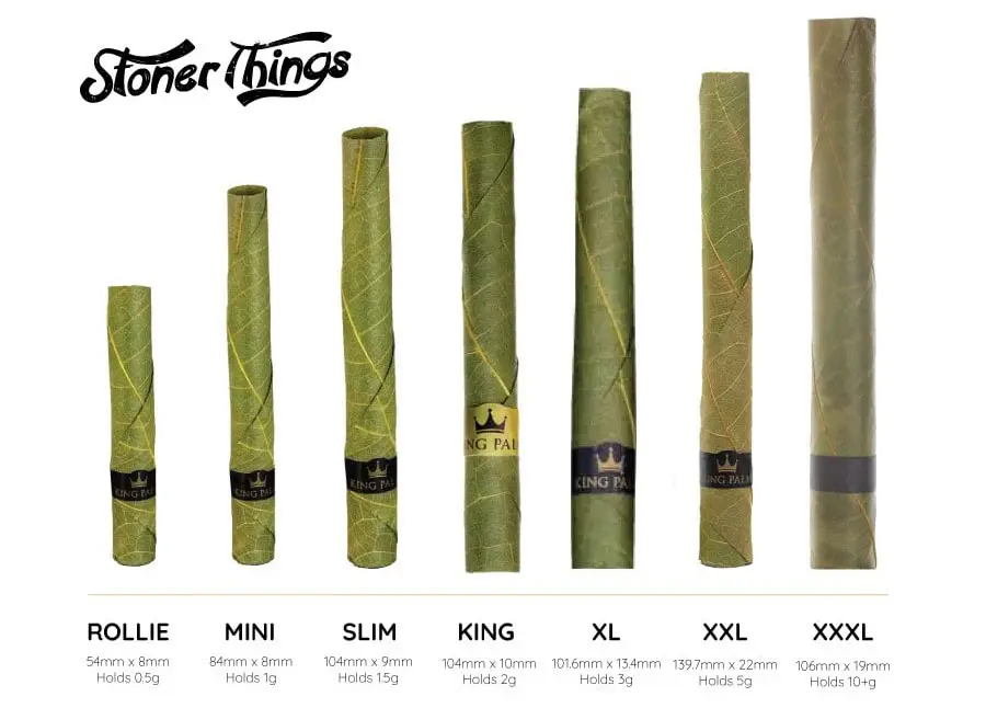 King Palm 7